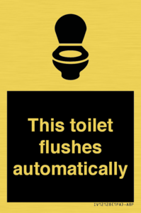 IV12128: This toilet flushes automatically