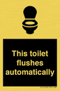 IV12128: This toilet flushes automatically