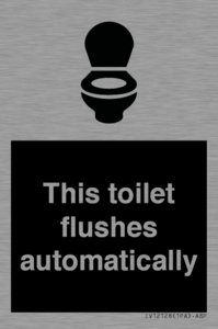 IV12128: This toilet flushes automatically