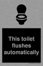 IV12128: This toilet flushes automatically
