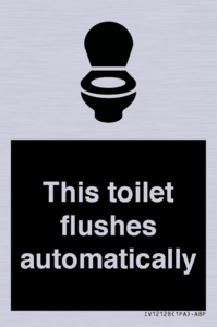 IV12128: This toilet flushes automatically