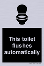 IV12128: This toilet flushes automatically