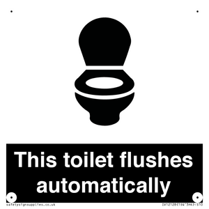 IV12128: This toilet flushes automatically