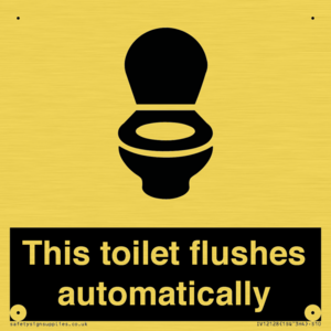 IV12128: This toilet flushes automatically