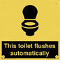 IV12128: This toilet flushes automatically