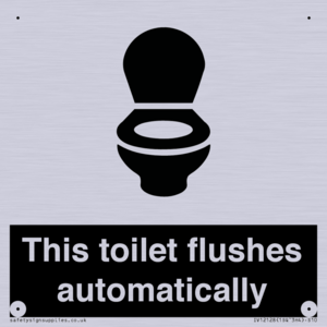 IV12128: This toilet flushes automatically
