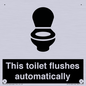 IV12128: This toilet flushes automatically