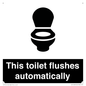 IV12128: This toilet flushes automatically