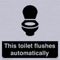 IV12128: This toilet flushes automatically