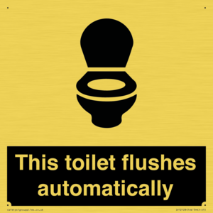 IV12128: This toilet flushes automatically