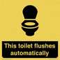 IV12128: This toilet flushes automatically