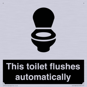 IV12128: This toilet flushes automatically