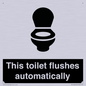 IV12128: This toilet flushes automatically