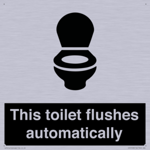 IV12128: This toilet flushes automatically
