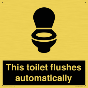 IV12128: This toilet flushes automatically