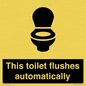 IV12128: This toilet flushes automatically