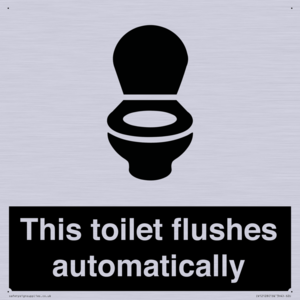 IV12128: This toilet flushes automatically