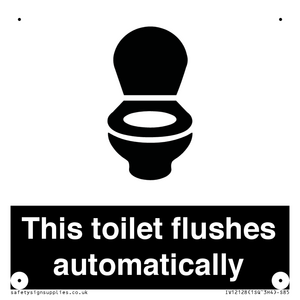 IV12128: This toilet flushes automatically