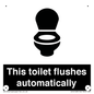 IV12128: This toilet flushes automatically