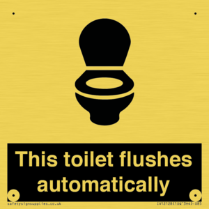 IV12128: This toilet flushes automatically