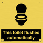IV12128: This toilet flushes automatically