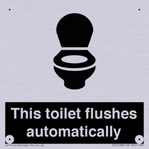 IV12128: This toilet flushes automatically