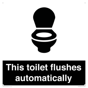 IV12128: This toilet flushes automatically