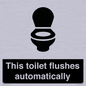 IV12128: This toilet flushes automatically