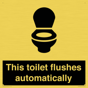 IV12128: This toilet flushes automatically