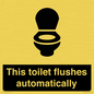 IV12128: This toilet flushes automatically