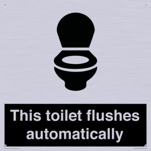 IV12128: This toilet flushes automatically