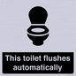 IV12128: This toilet flushes automatically