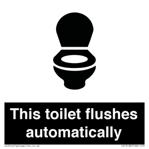 IV12128: This toilet flushes automatically