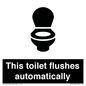 IV12128: This toilet flushes automatically