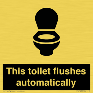 IV12128: This toilet flushes automatically