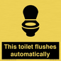 IV12128: This toilet flushes automatically