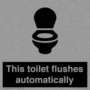 IV12128: This toilet flushes automatically