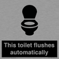 IV12128: This toilet flushes automatically