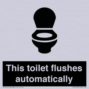 IV12128: This toilet flushes automatically