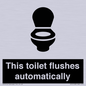 IV12128: This toilet flushes automatically
