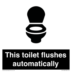 IV12128: This toilet flushes automatically