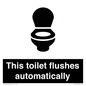 IV12128: This toilet flushes automatically