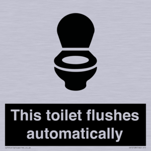 IV12128: This toilet flushes automatically