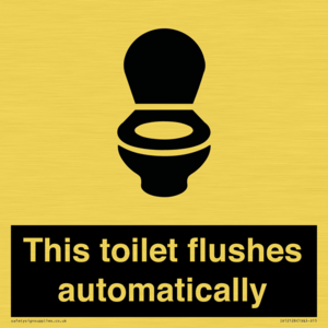 IV12128: This toilet flushes automatically