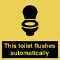 IV12128: This toilet flushes automatically