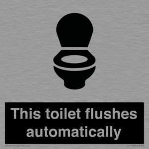 IV12128: This toilet flushes automatically