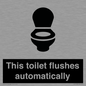 IV12128: This toilet flushes automatically