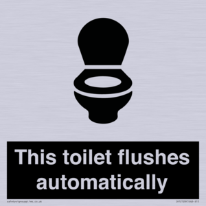 IV12128: This toilet flushes automatically