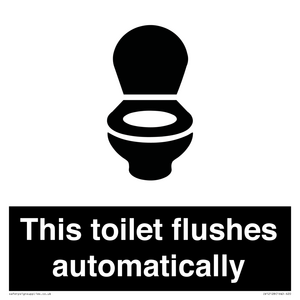 IV12128: This toilet flushes automatically
