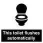 IV12128: This toilet flushes automatically